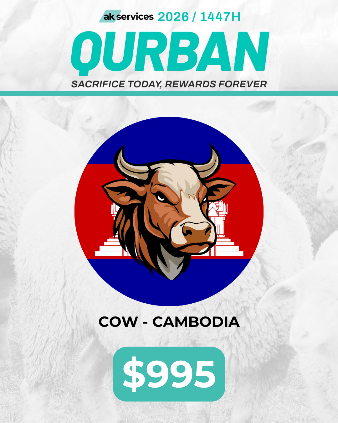Cow - Cambodia