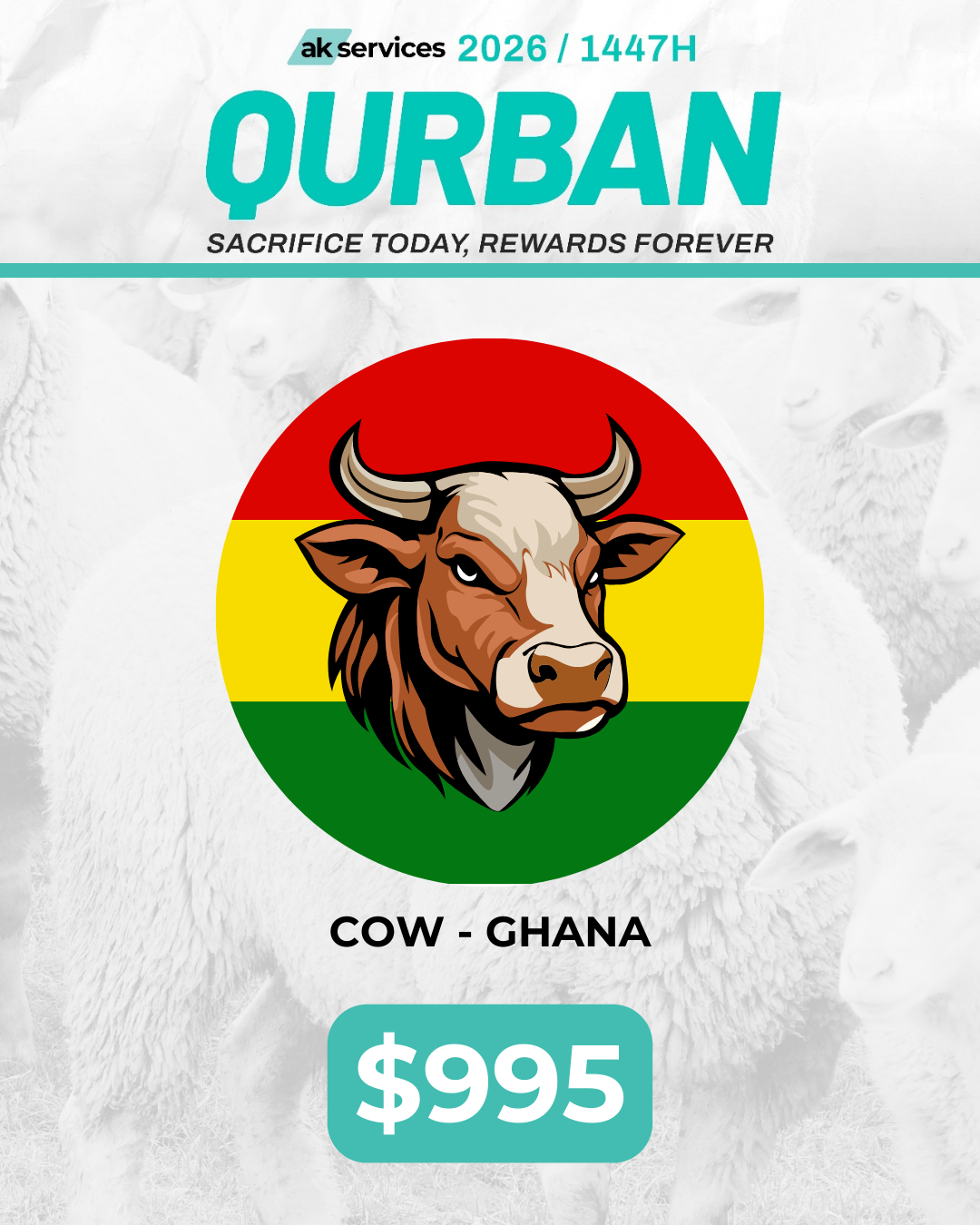 Cow - Ghana