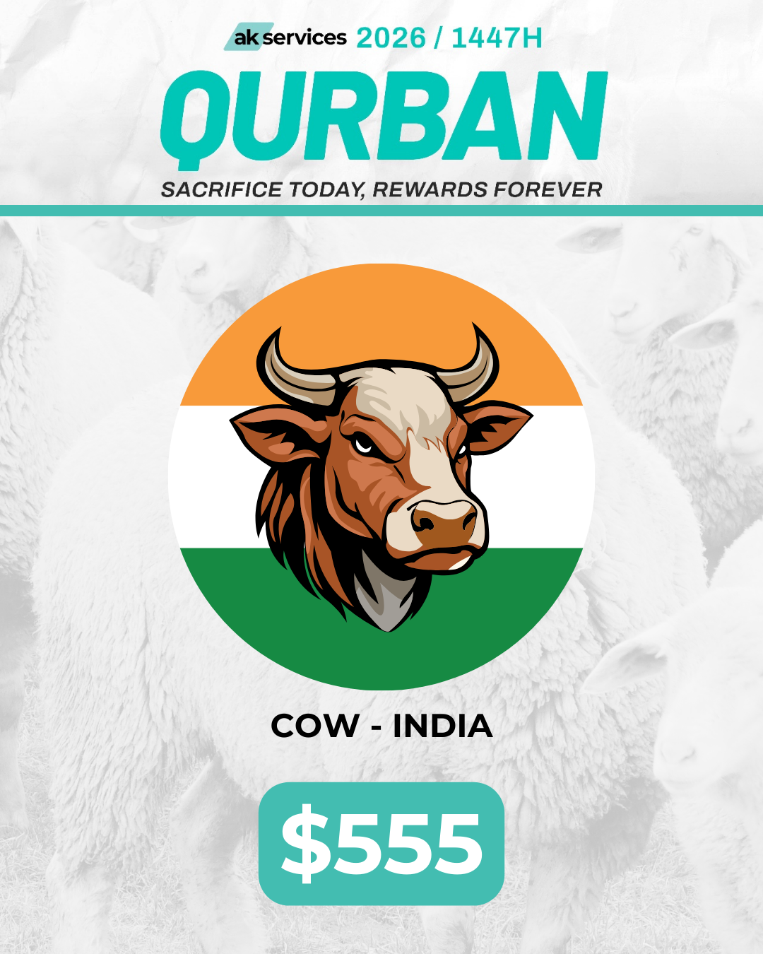 Cow - India
