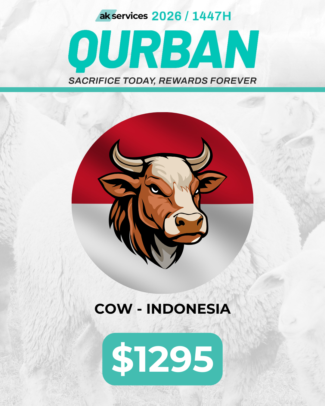 Cow - Indonesia