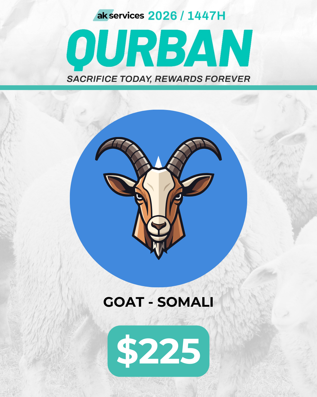 Goat - Somali