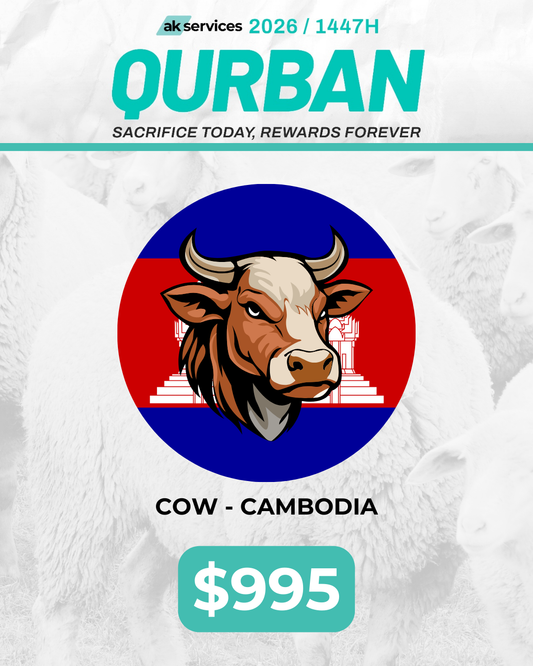 Cow - Cambodia