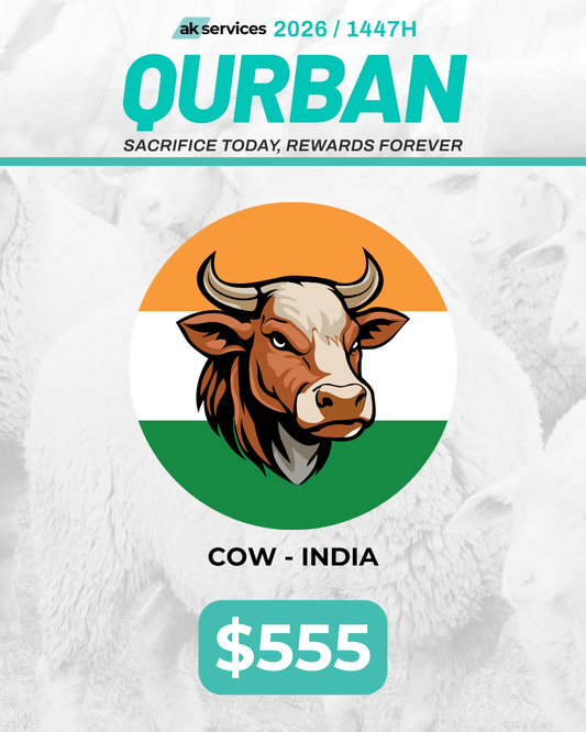Cow - India
