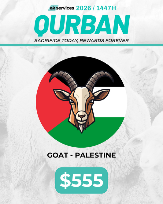 Goat - Palestine